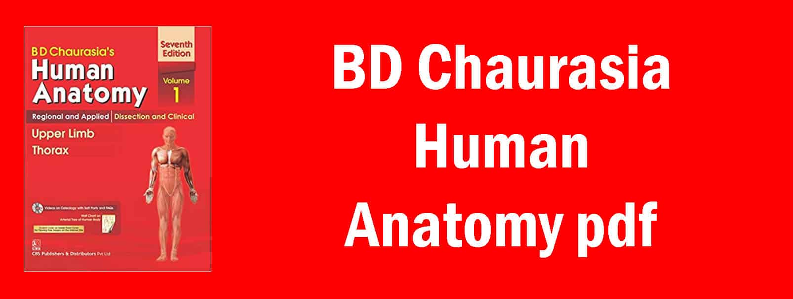 Download BD Chaurasia Human Anatomy pdf